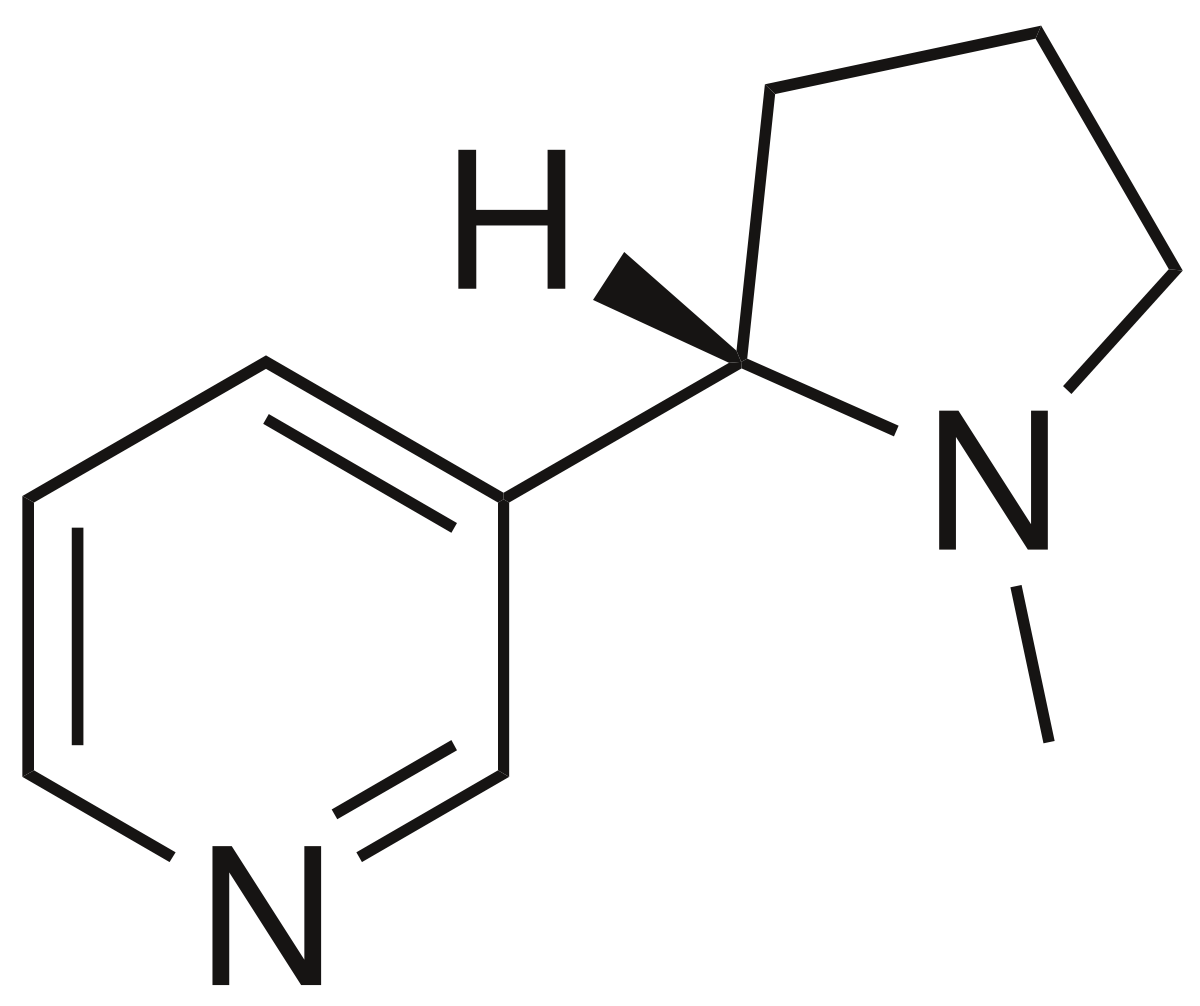 Nicotina base 100mg 30ml para DIY — MejorVapor Argentina